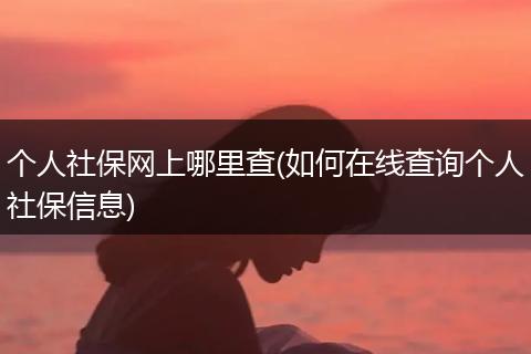 个人社保网上哪里查(如何在线查询个人社保信息)