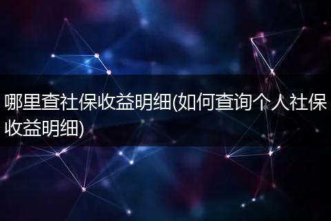 哪里查社保收益明细(如何查询个人社保收益明细)