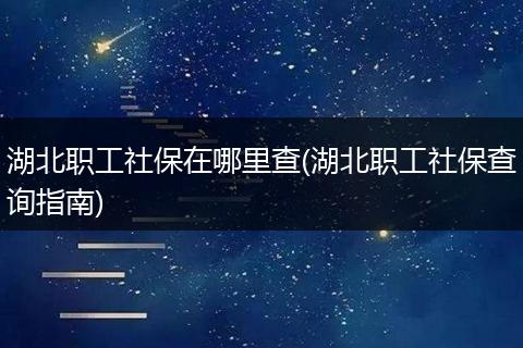 湖北职工社保在哪里查(湖北职工社保查询指南)