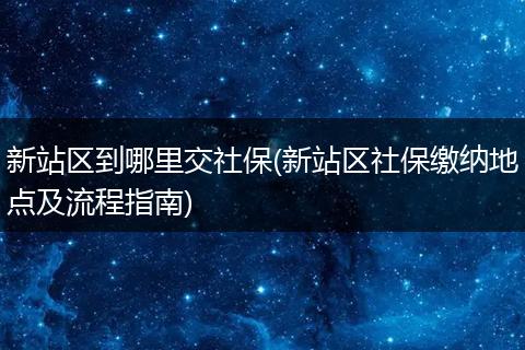 新站区到哪里交社保(新站区社保缴纳地点及流程指南)