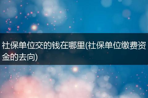 社保单位交的钱在哪里(社保单位缴费资金的去向)