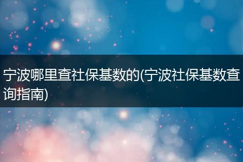 宁波哪里查社保基数的(宁波社保基数查询指南)