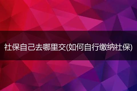社保自己去哪里交(如何自行缴纳社保)