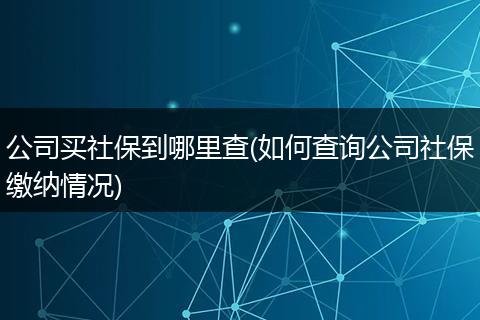 公司买社保到哪里查(如何查询公司社保缴纳情况)