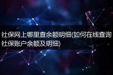社保网上哪里查余额明细(如何在线查询社保账户余额及明细)