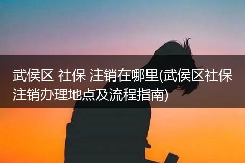 武侯区 社保 注销在哪里(武侯区社保注销办理地点及流程指南)