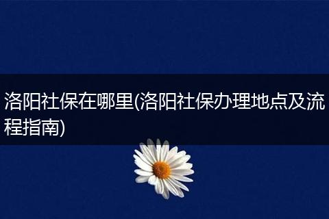 洛阳社保在哪里(洛阳社保办理地点及流程指南)