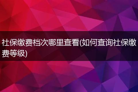 社保缴费档次哪里查看(如何查询社保缴费等级)