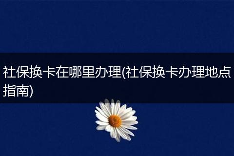 社保换卡在哪里办理(社保换卡办理地点指南)