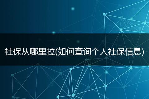 社保从哪里拉(如何查询个人社保信息)