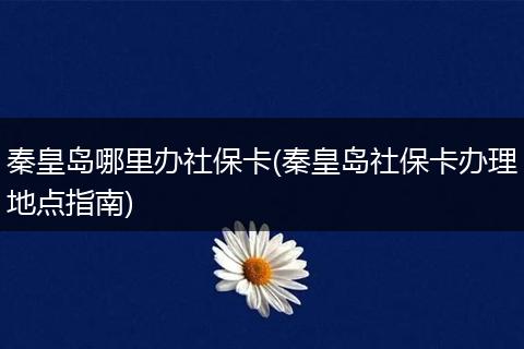 秦皇岛哪里办社保卡(秦皇岛社保卡办理地点指南)