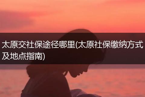 太原交社保途径哪里(太原社保缴纳方式及地点指南)