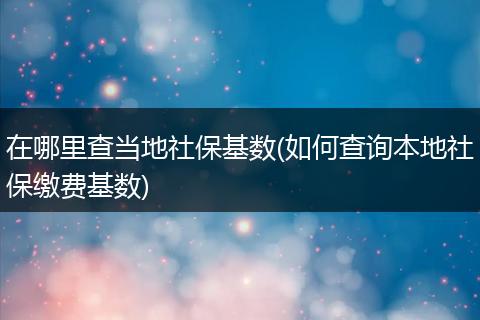 在哪里查当地社保基数(如何查询本地社保缴费基数)