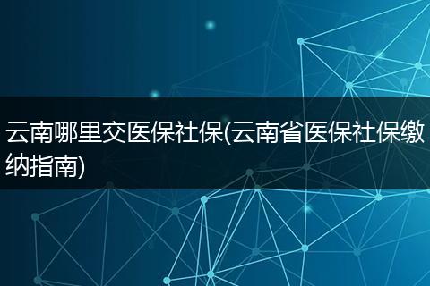 云南哪里交医保社保(云南省医保社保缴纳指南)