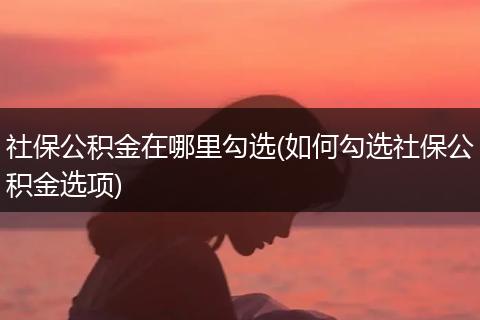 社保公积金在哪里勾选(如何勾选社保公积金选项)