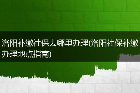 洛阳补缴社保去哪里办理(洛阳社保补缴办理地点指南)