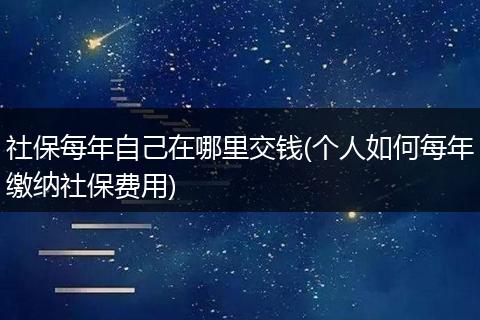 社保每年自己在哪里交钱(个人如何每年缴纳社保费用)
