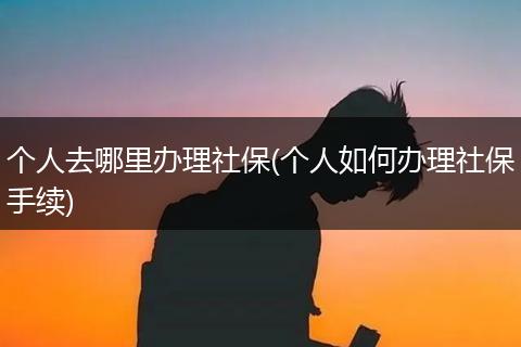个人去哪里办理社保(个人如何办理社保手续)