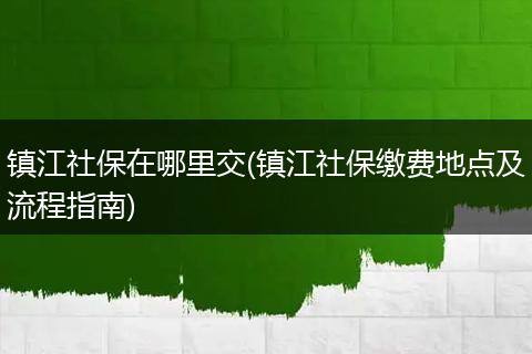 镇江社保在哪里交(镇江社保缴费地点及流程指南)