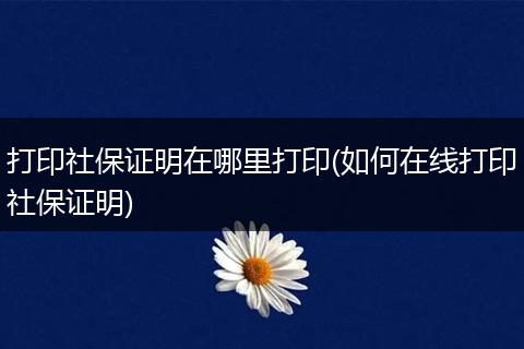 打印社保证明在哪里打印(如何在线打印社保证明)