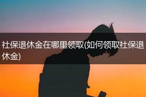 社保退休金在哪里领取(如何领取社保退休金)