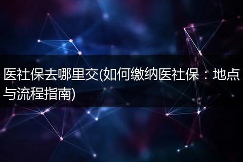 医社保去哪里交(如何缴纳医社保：地点与流程指南)
