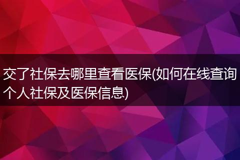 交了社保去哪里查看医保(如何在线查询个人社保及医保信息)