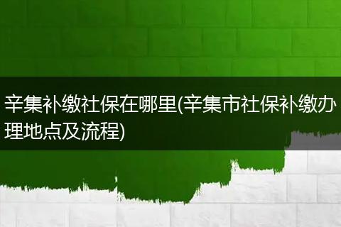 辛集补缴社保在哪里(辛集市社保补缴办理地点及流程)