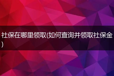社保在哪里领取(如何查询并领取社保金)