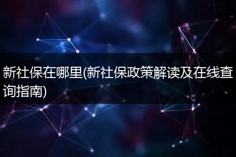 新社保在哪里(新社保政策解读及在线查询指南)