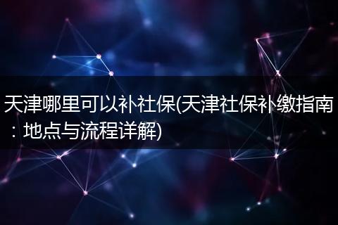 天津哪里可以补社保(天津社保补缴指南：地点与流程详解)
