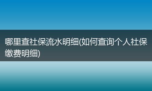 哪里查社保流水明细(如何查询个人社保缴费明细)