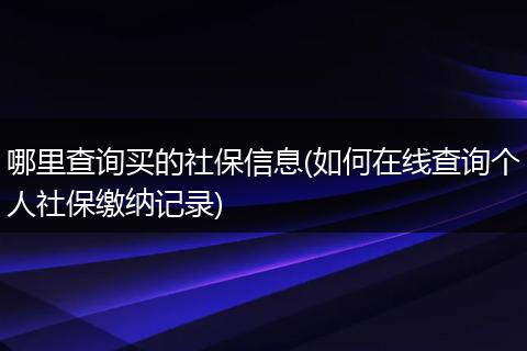 哪里查询买的社保信息(如何在线查询个人社保缴纳记录)