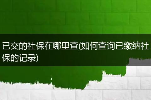 已交的社保在哪里查(如何查询已缴纳社保的记录)