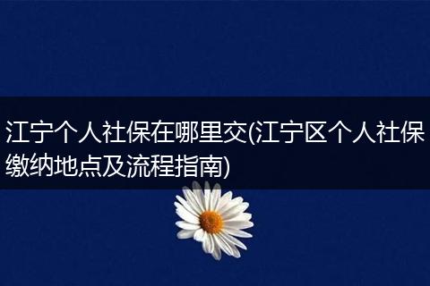 江宁个人社保在哪里交(江宁区个人社保缴纳地点及流程指南)