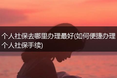个人社保去哪里办理最好(如何便捷办理个人社保手续)