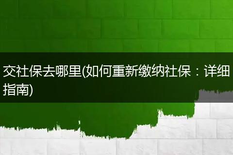 交社保去哪里(如何重新缴纳社保：详细指南)