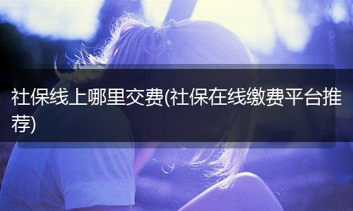 社保线上哪里交费(社保在线缴费平台推荐)