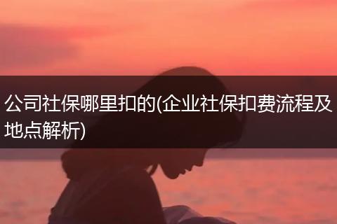 公司社保哪里扣的(企业社保扣费流程及地点解析)