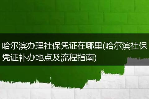 哈尔滨办理社保凭证在哪里(哈尔滨社保凭证补办地点及流程指南)