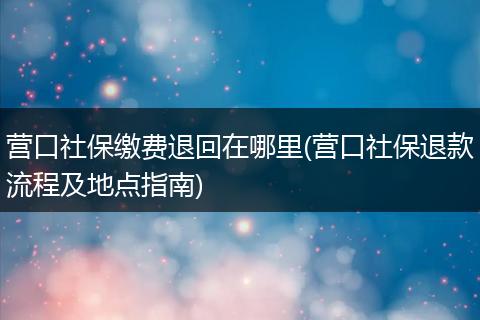 营口社保缴费退回在哪里(营口社保退款流程及地点指南)