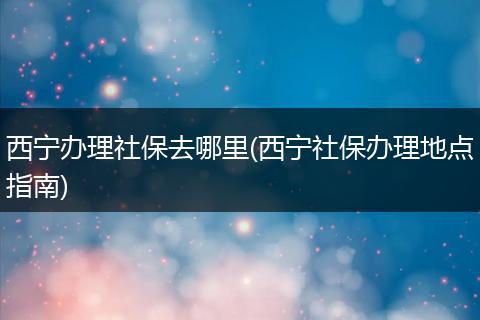 西宁办理社保去哪里(西宁社保办理地点指南)