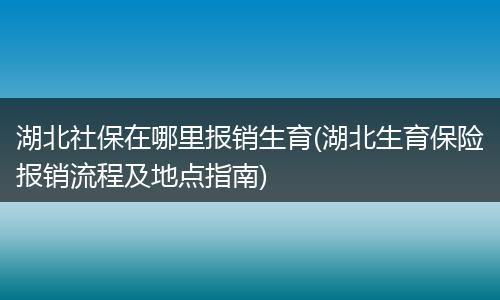 湖北社保在哪里报销生育(湖北生育保险报销流程及地点指南)