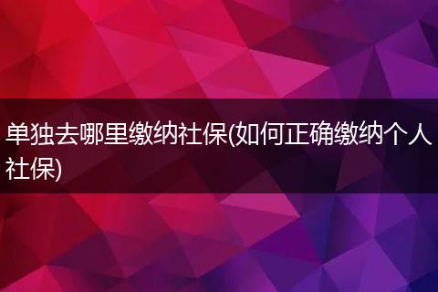 单独去哪里缴纳社保(如何正确缴纳个人社保)