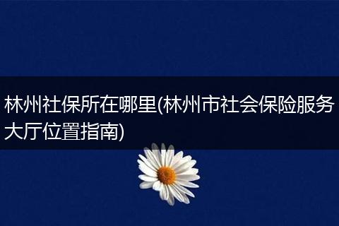 林州社保所在哪里(林州市社会保险服务大厅位置指南)