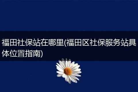 福田社保站在哪里(福田区社保服务站具体位置指南)