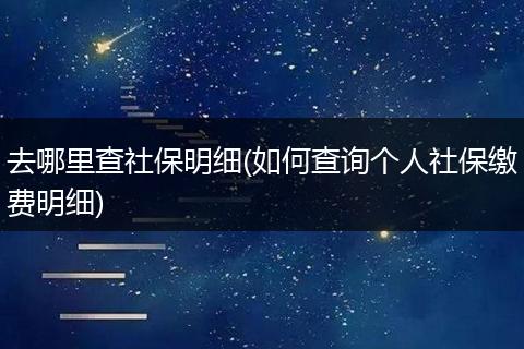 去哪里查社保明细(如何查询个人社保缴费明细)