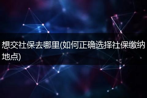 想交社保去哪里(如何正确选择社保缴纳地点)