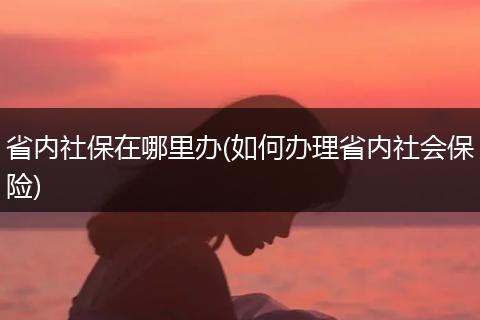 省内社保在哪里办(如何办理省内社会保险)