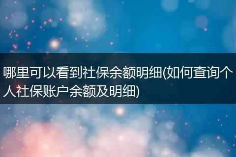 哪里可以看到社保余额明细(如何查询个人社保账户余额及明细)